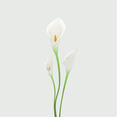 Lily The Flower 3d Modeling On Behance