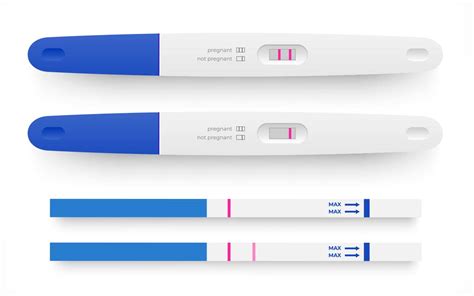 What Are Ovulation Test Strips And How Can They Help You Get Pregnant