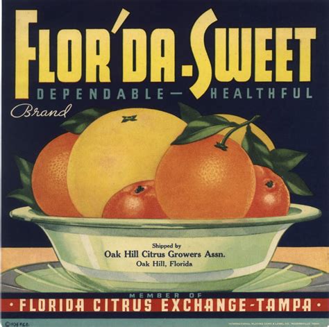 Vintage Florida Citrus Florida Citrus Fruit Labels Fruit Crate Label