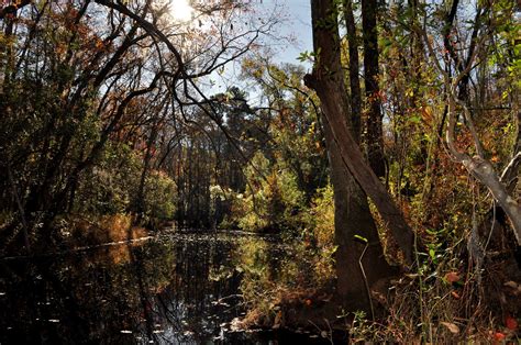 George l smith ii state park is covered by the twin city se, ga us topo map quadrant. Elevation of George L. Smith State Park, George L Smith ...