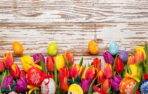 Wallpaper Colorful Easter Tulips Happy Wood Flowers Tulips