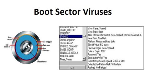 Computer virus help and information including signs of viruses, how viruses infect, myths, definitions, and other related questions and answers. common types virus,DOS virus,Shell-like virus,Invasive virus