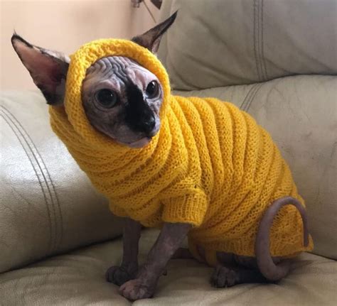 Clothing For Cats Clothes For Sphynx Cat Clothes Sweater Etsy