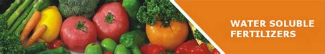 Understanding & using water soluble fertilizer: Products | Water Soluble Fertilizers