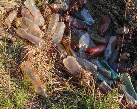 Plastic Bottles Bags And Garbage Are Lying On The Shore Waste Dirt