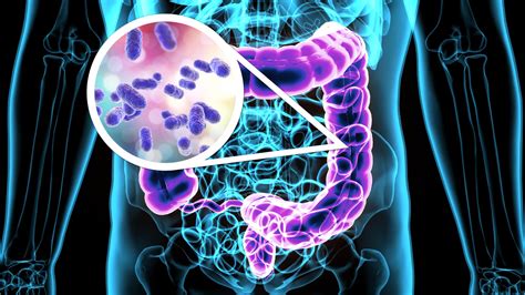 Gut Flora What Is It Good For By Dr Yousif A Rahim Covenant