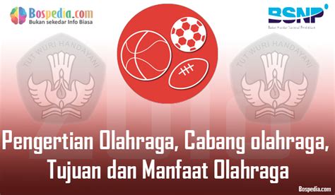 Pengertian Olahraga Cabang Olahraga Tujuan Dan Manfaat Olahraga