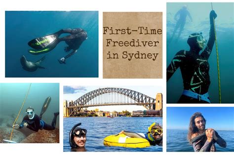 Freediving In Sydney