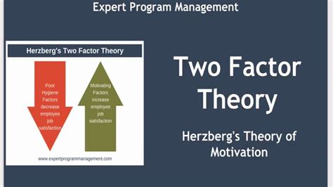 Two Factor Theory Herzberg S Theory Of Motivation Youtube