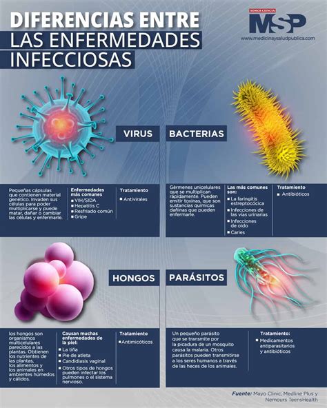 Diferencias Entre Las Enfermedades Infecciosas Infografías