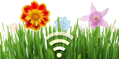 5 Smart Devices To Help Manage Your Garden | Smart device, Smart garden, Smart