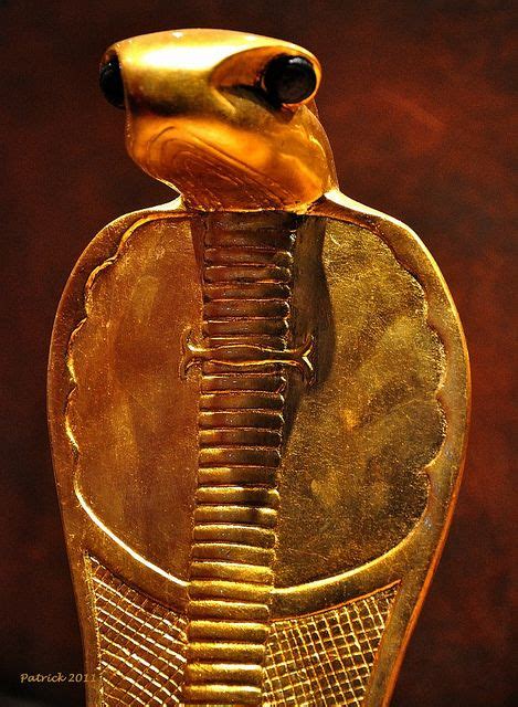 Uraeus Cobra Artifact In Egyptian Kings Tutankhamuns Tombthe Uraeus