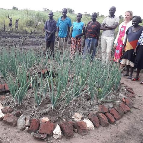 Agriculture In Refugee Camps Uganda Cress Uk