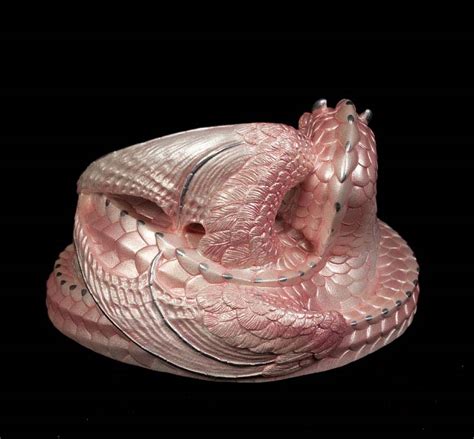 Mother Coiled Dragon Shell Pink Windstone Editions