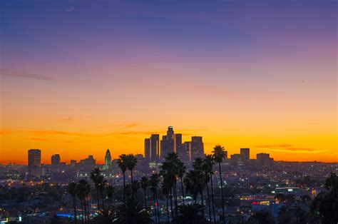 Los Angeles Sunset With Skyline And Palm Trees Wide Angle Stock Photo