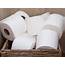 Toilet Paper Use In The United States Is Destroying Canada’s Forests 