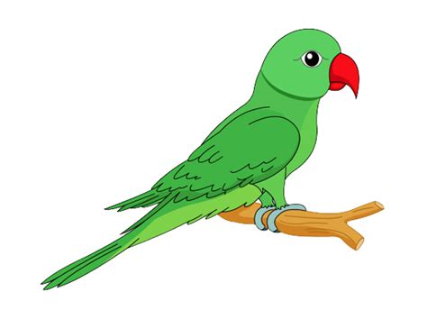 Green Parrot Png Images Free Download