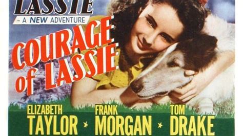 Courage Of Lassie 1946 With Elizabeth Taylor Frank Morgan And Tom Drake