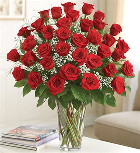 3 Dozen Red Roses Ultimate Elegance Premium Long Stem