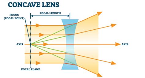 convex and concave lenses gcse physics revision