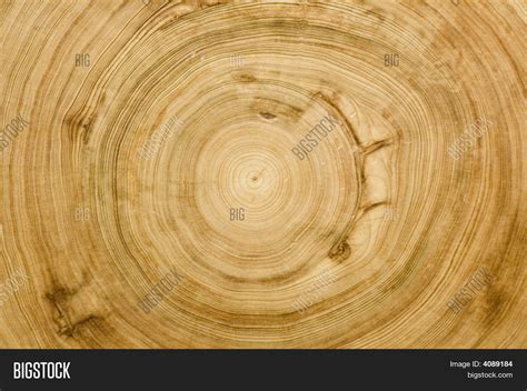 Cut Log Woodgrain Image Photo Free Trial Bigstock