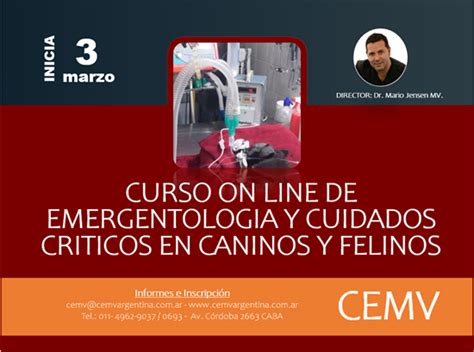 Curso Online De Emergentología Y Cuidados Críticos En Caninos Y Felinos