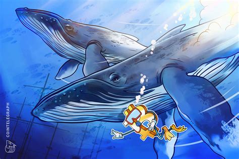 An array of achievements were. Bitcoin price volatility spikes as BTC whales sell each ...