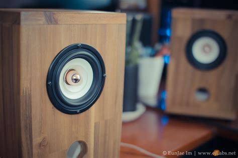 That means that the bass is not as deep as speakers with a dedicated a full range speaker is capable of producing most of these frequencies, within the limitations of its physical constraints. DIY Full Range Speakers - Eunjae Im