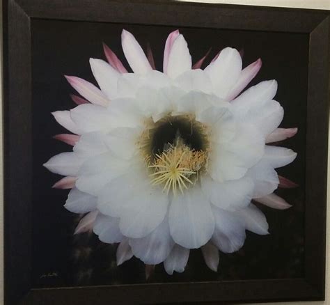 George police department web site. White Flower by artist Les Smith at the DiFiore Center in ...