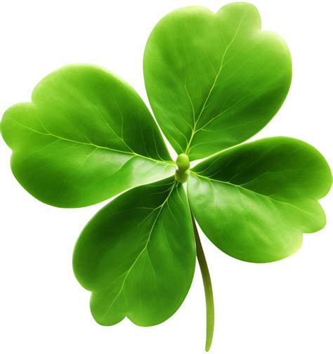 Clover Png With Ai Generated 24865607 Png