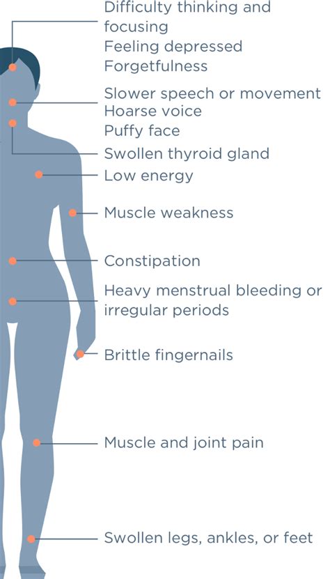 Learn how to use these tests in combination with thyroid lab tests for a complete picture. Hypothyroidism in men symptoms checklist ...