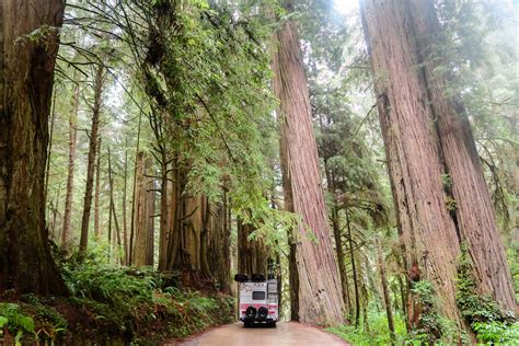 Redwood National Park 15 59 Our Vie