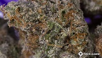 Mr. Nice Marijuana Strain (Review)