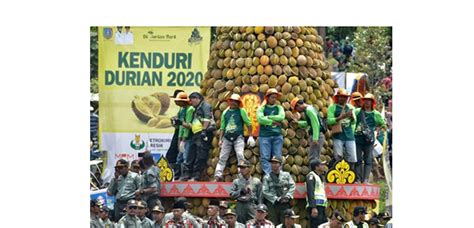 Kenduren 2020 Di Wonosalam Jombang Bagikan 2020 Durian Gratis Teras