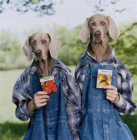 The Weimaraners Cant Wait To Plant🍅 🌰 With Images William
