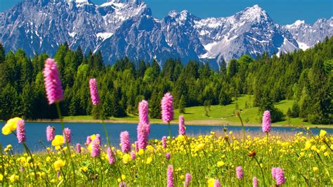 Landscape With Mountain Lake And Flowers Wallpapers