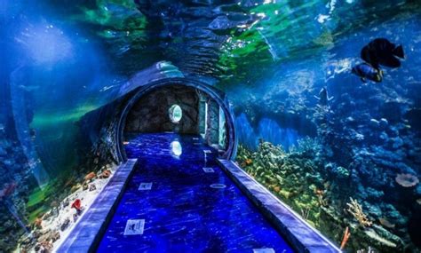 Top 10 Largest Biggest And Best Aquariums In The World 2022 Update