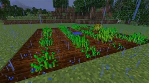 How Does Farming Work In Minecraft Kavo Gaming