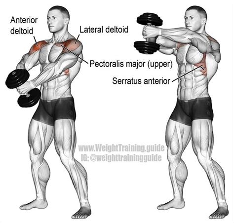 Single Dumbbell Front Hammer Raise An Auxiliary Exercise That Targets