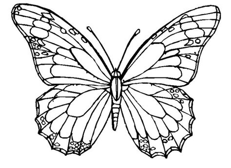 These butterflies are only waiting for pretty colors to take live and to fly ! Butterfly Coloring Pages | Free download on ClipArtMag