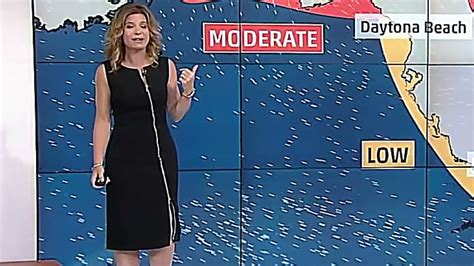Jen Carfagno The Weather Channel Black Zip Up Dress Easy On The Eyes Youtube