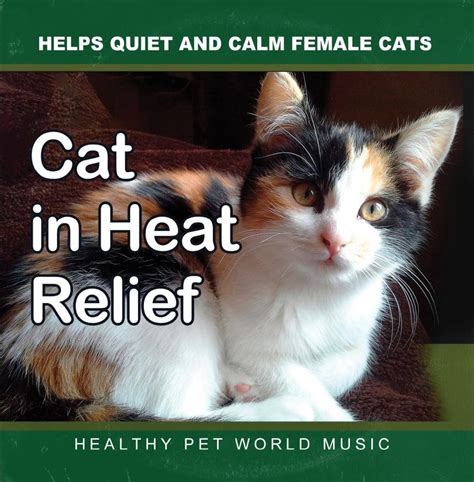 Buy Cat In Heat Relief Cd Helps Quiet And Calm Female Cats Online At