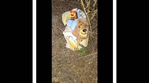 A Newborn Baby 👶 Was Found Dumped In The Bushes In Mpumalanga 😒😒 Youtube