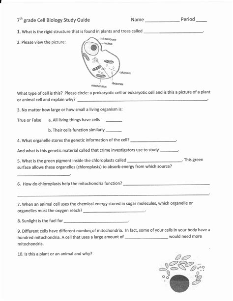 Science Worksheet For 5th Graders