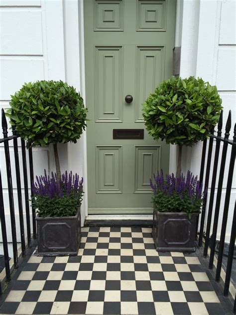 20 Front Door Trees In Pots