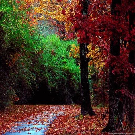 Autumn Scenery Live Wallpaper Appstore For Android Desktop