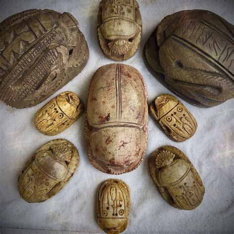 Egyptian Scarab Beetles For Transformation And Regeneration