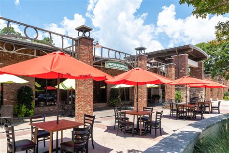 Cactus Flower Cafe Photos