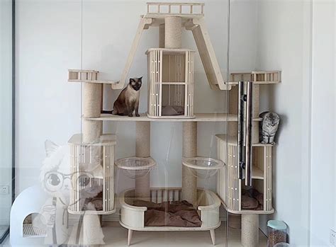 10 Best Affordable Cat Condos And Houses From Taobao Blog Youtrip