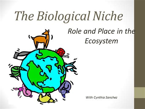 Definition Of Niche In Biology Dale 972